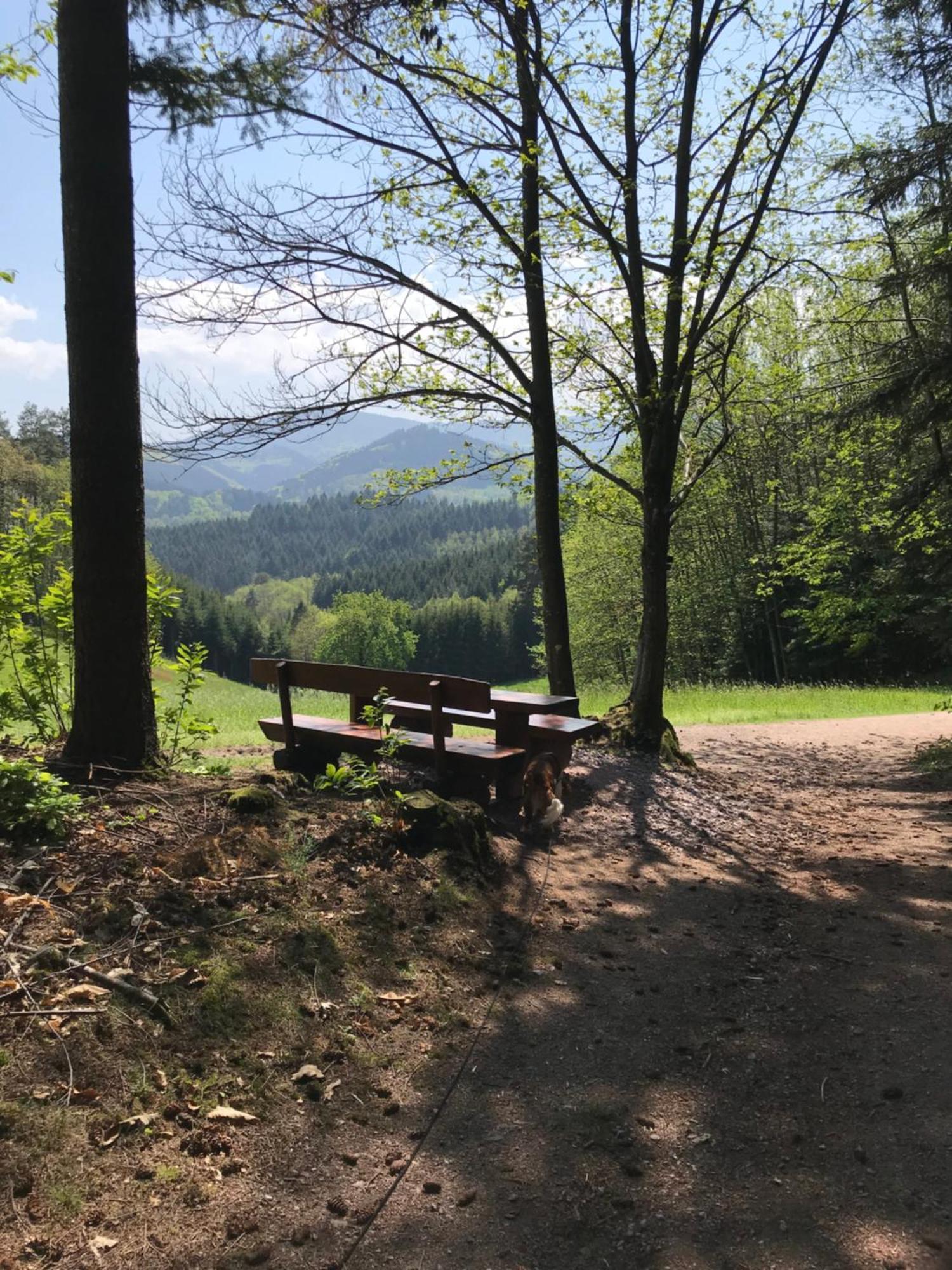 Ferienwohnung Hesselbach Oberkirch  Exterior foto