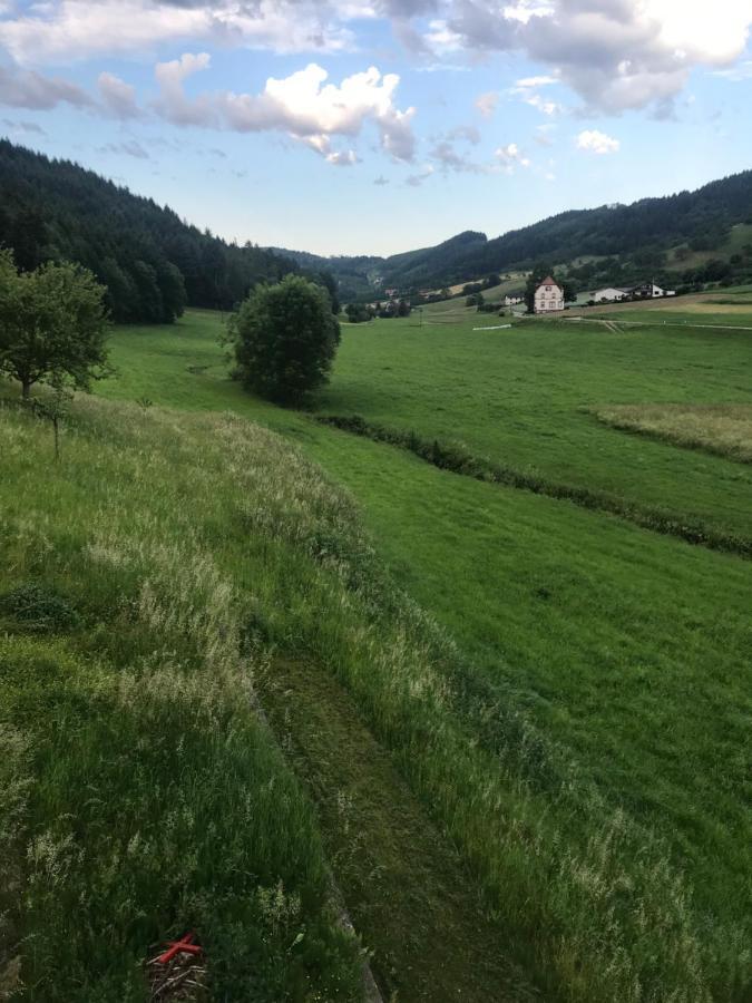 Ferienwohnung Hesselbach Oberkirch  Exterior foto